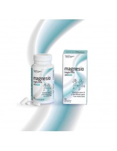 Magnesio  60 comp