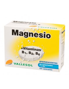 Vallesol magnesio 24 comp....